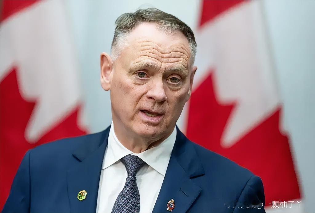 加拿大国防部长已正式宣布，加拿大加入欧盟SAFE防务计划，消息完全真实。这也让加