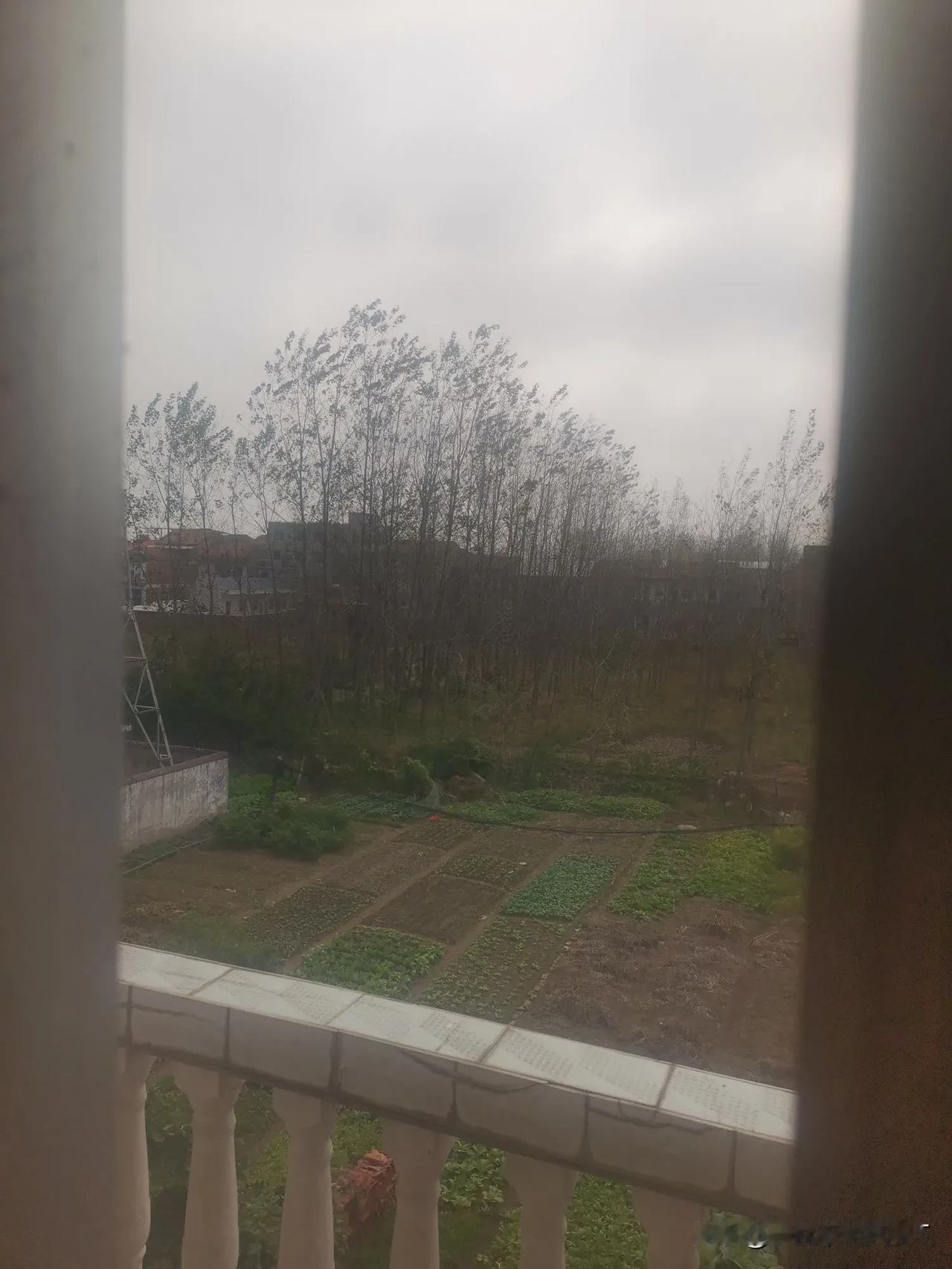 窗前春色浓，窗外世界静。
西游记火了