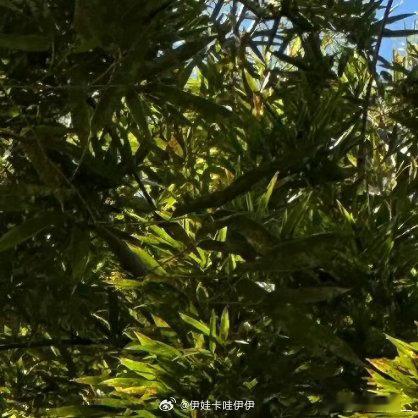 每日一善阳光信用 心善福气大，多看他人长处，少看他人短处。 