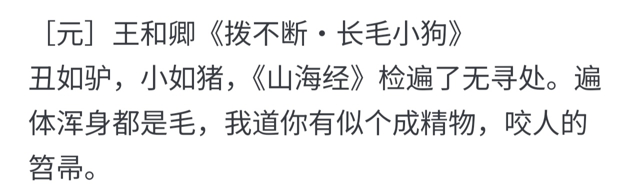 《拔不断·长毛小狗》 ​​​