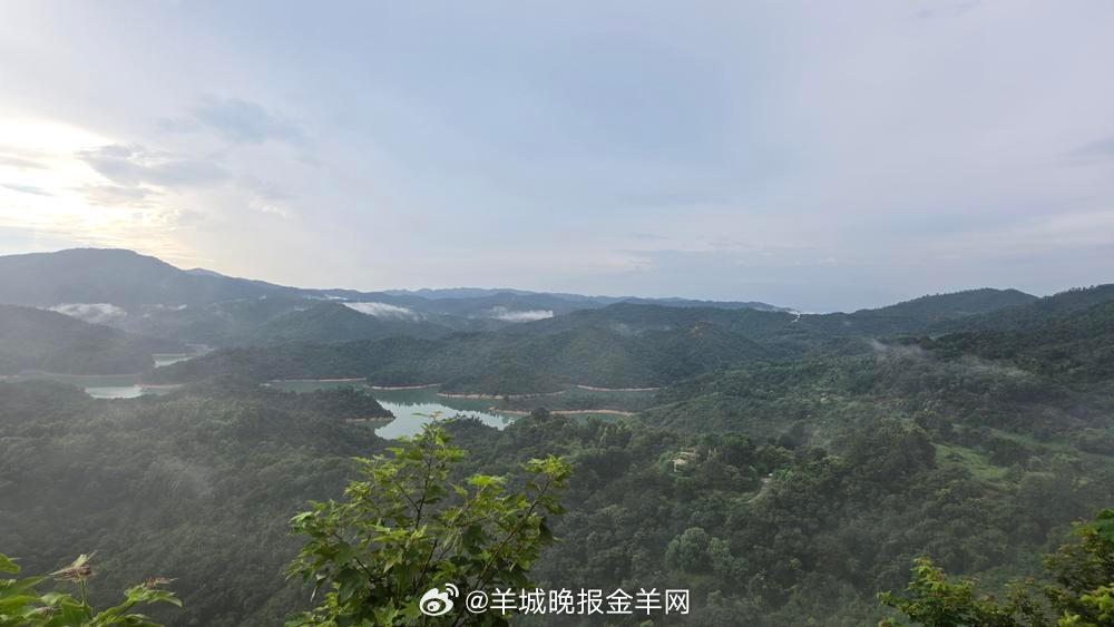 🌞 #早安# 周日晨光正好，适合睡到自然醒。把忙碌暂时放下，把心情好好整理。愿