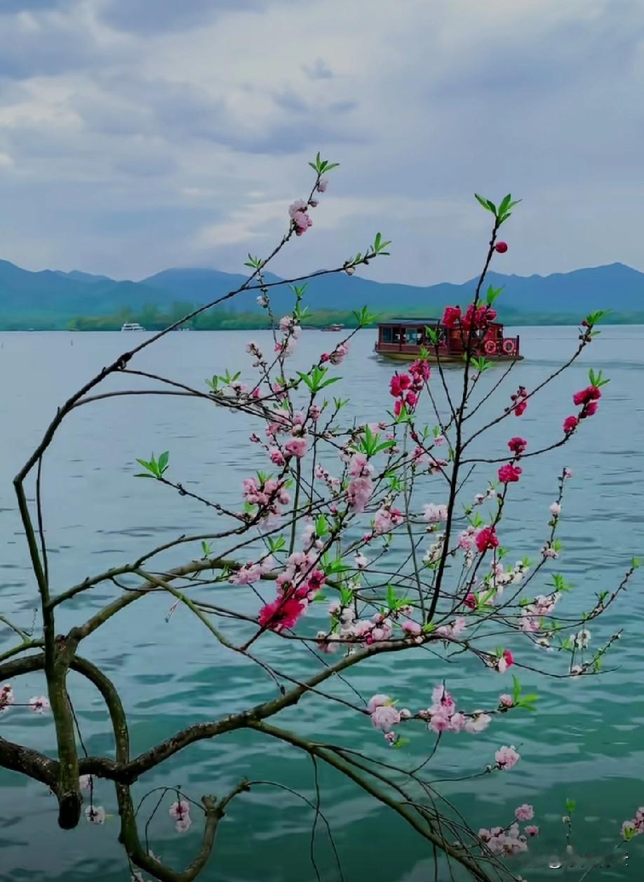 日子一天天走，不回头、不停留。我们总以为来日方长，却忘了世事无常。

时间最公平