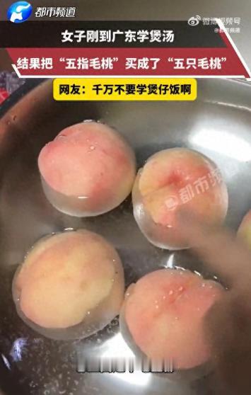 广东，北方女子到广东学煲汤，本地人好心告诉她用“五指毛桃”祛湿。女子满口答应，转
