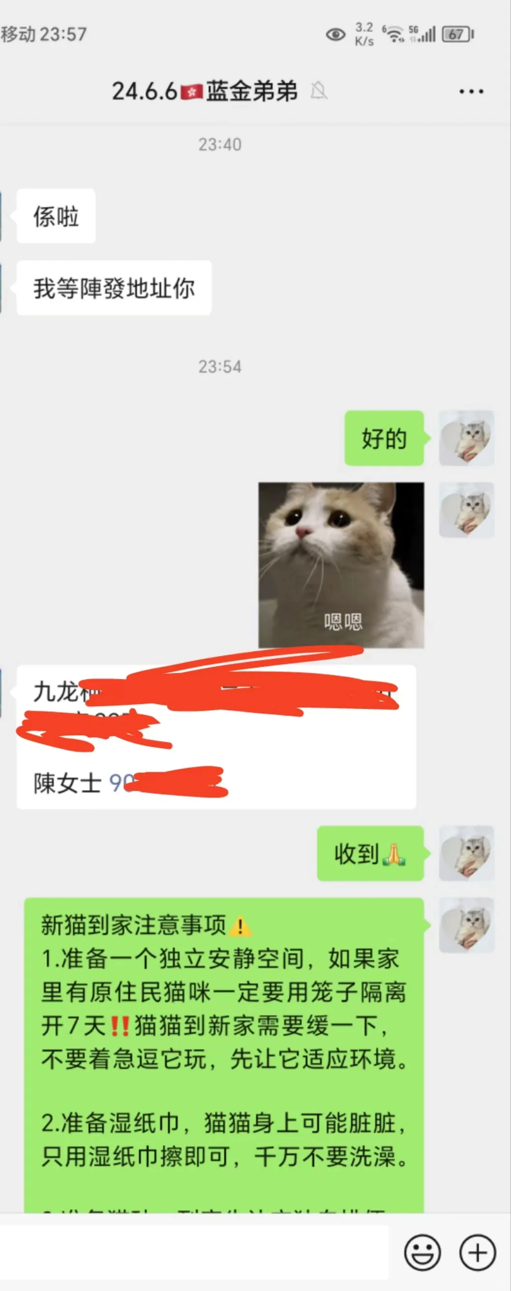 🇭🇰HK買貓💛真正喜歡貓貓的人從不猶豫