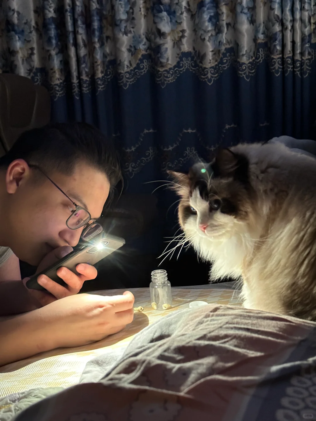 当你养了一只和你对象很合拍的小猫