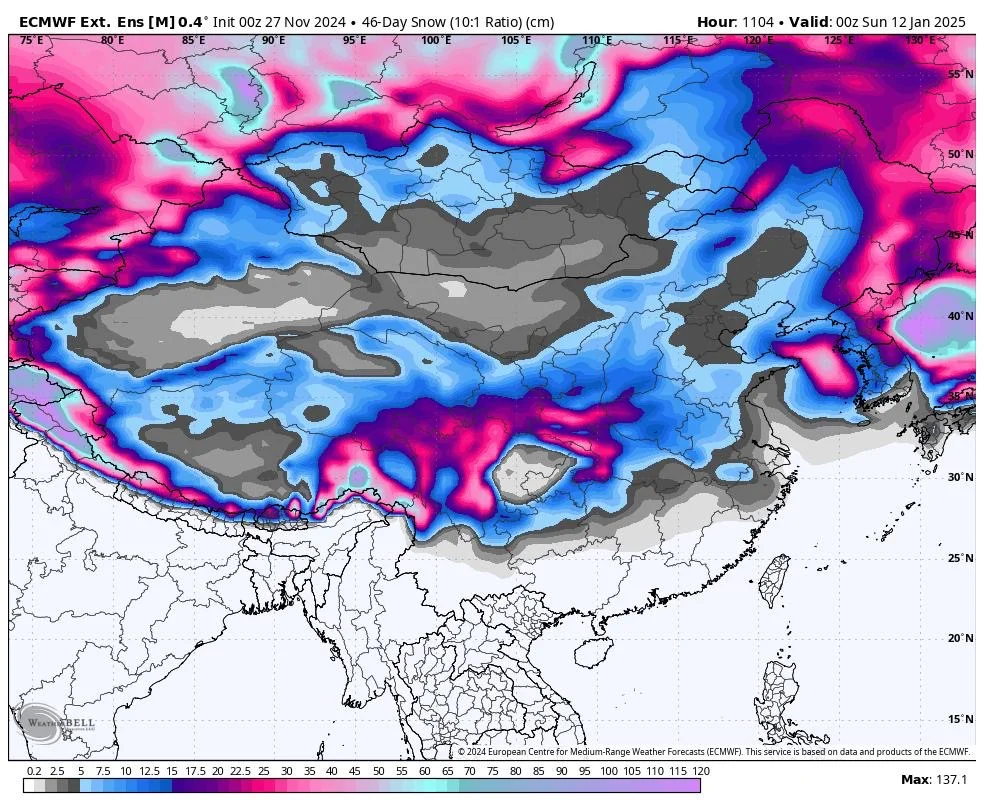 上海今年最干燥一天，EC远期看衰南方降雪