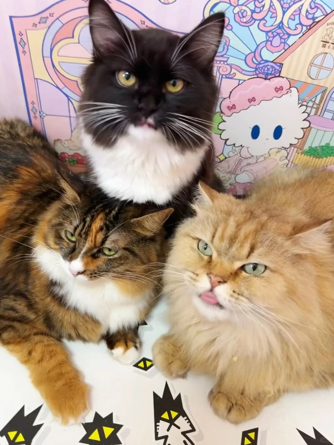 弗列加特能一直吃吗？