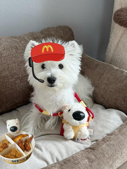 歪？你好得来速，今天想吃啥？