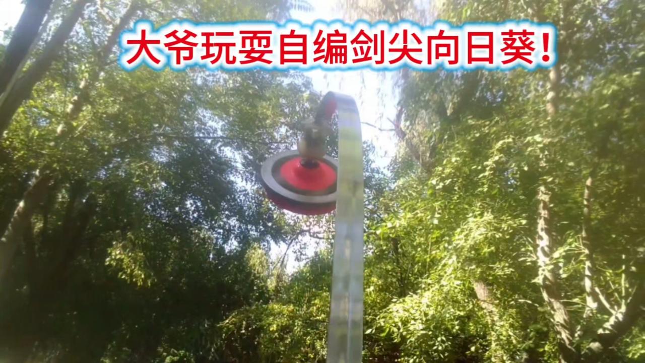 大爷玩耍自编剑尖向日葵！