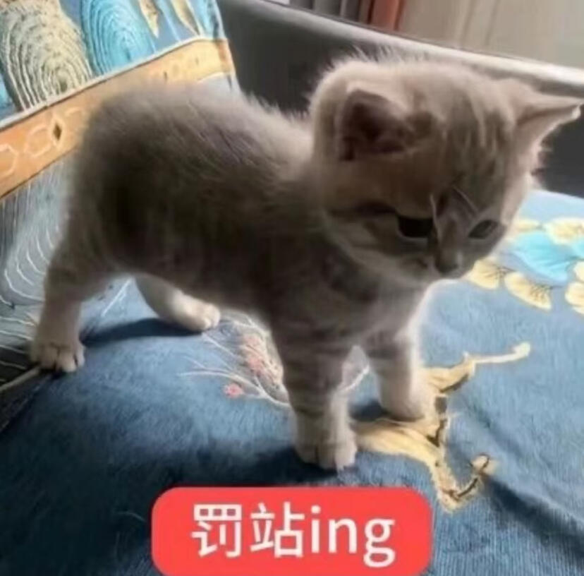鱼你有染 🩷鱼你有染 今日大屏进度ᕙ(  •̀ ᗜ •́  )ᕗ1️⃣衡阳蒸湘