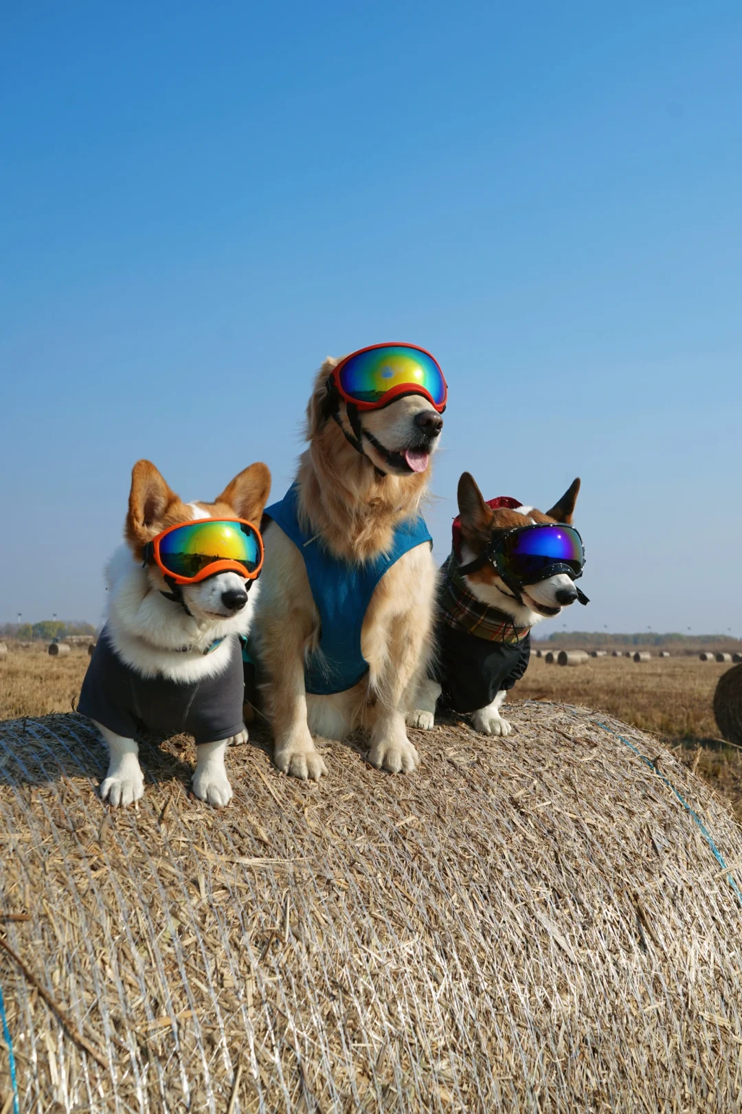 走出家门就是旷野和我出门包出片哈哈哈哈