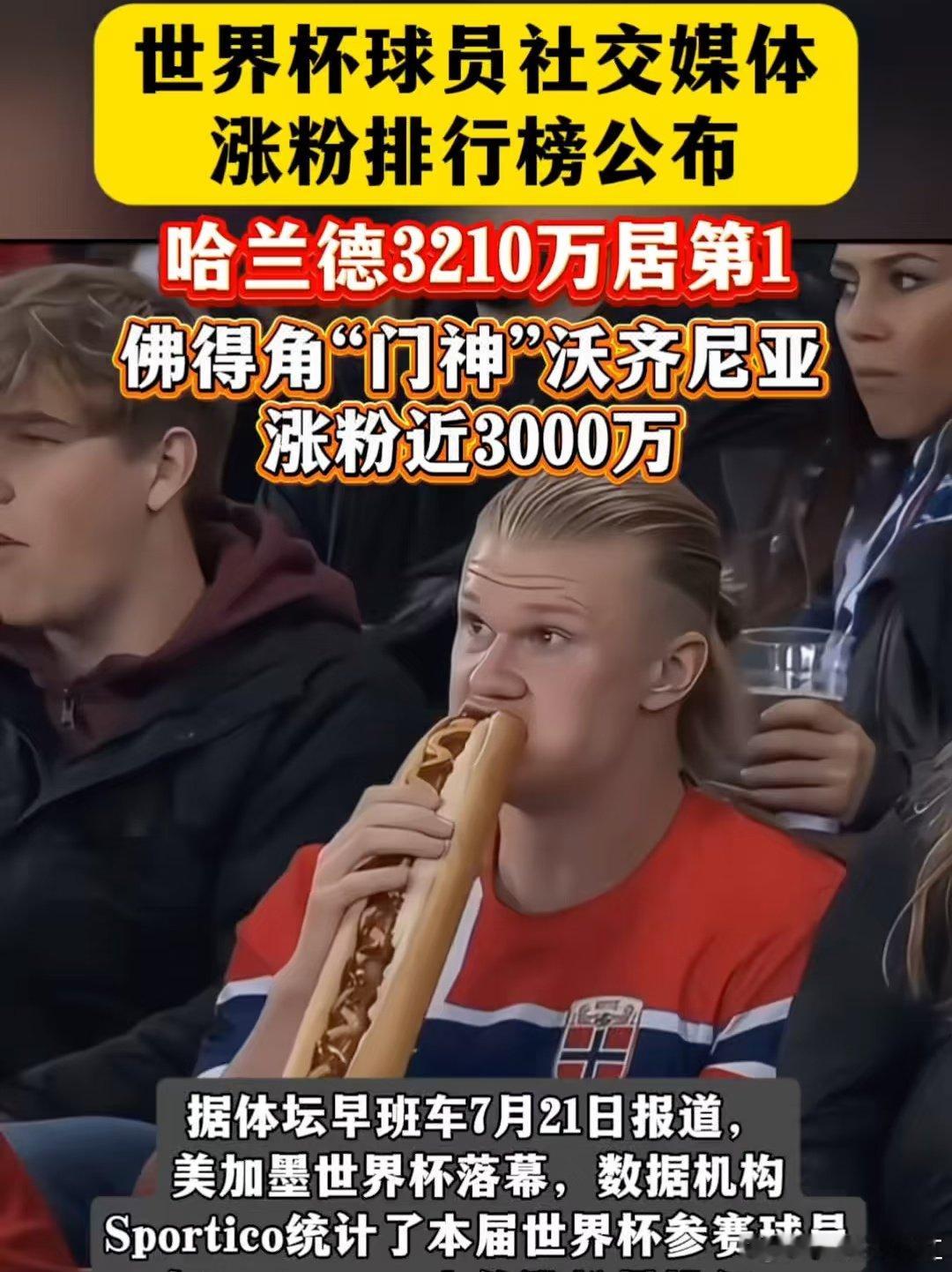世界杯