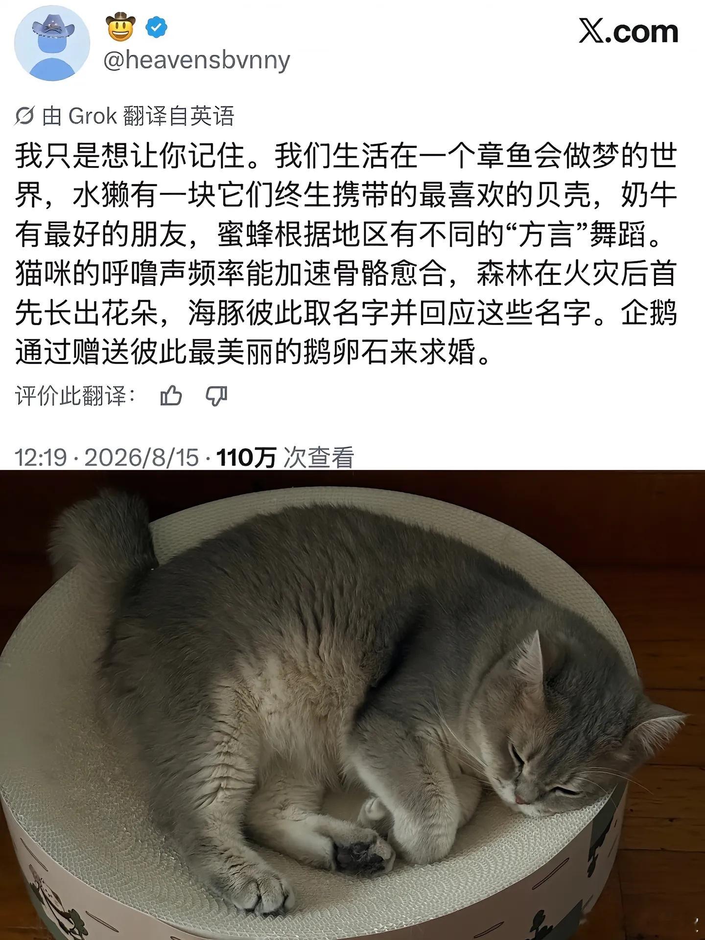 谁在这张图上加了幸福！ ​​​