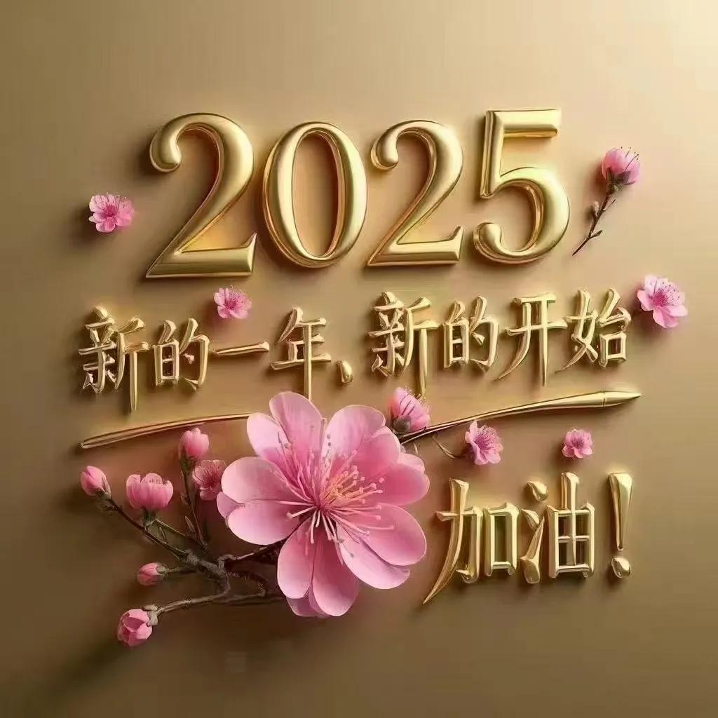 天南地北大拜年戳这里，一起放烟花>2025年，回归自己，做自己最喜欢的的事，不为