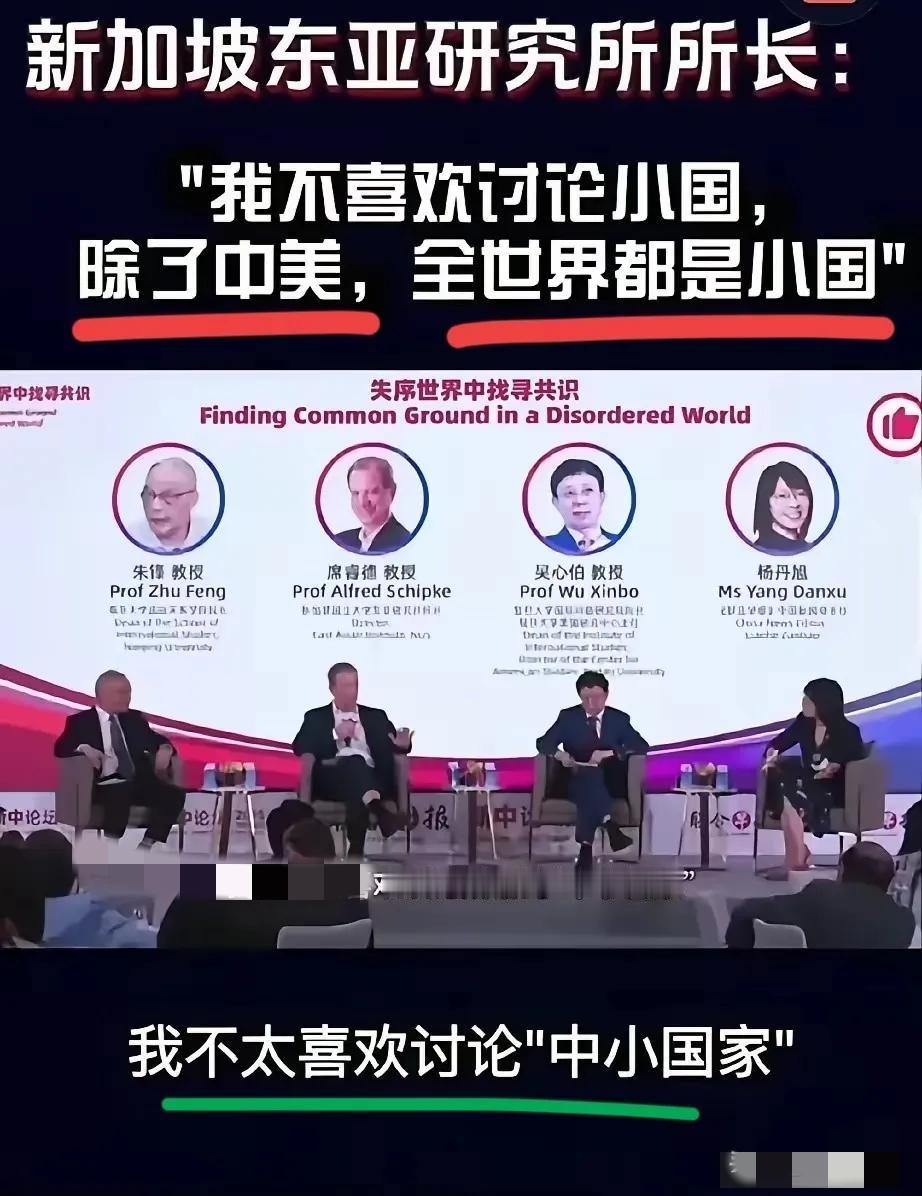 先纠正个关键事实：说“除中美外都是小国家”的不是美国教授，而是新加坡国立大学的郑