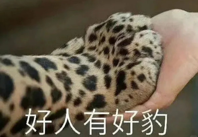 19公斤黄金被冲走当地号召拾金不昧 捡到的人应该都会还回去吧[思考] ​​​