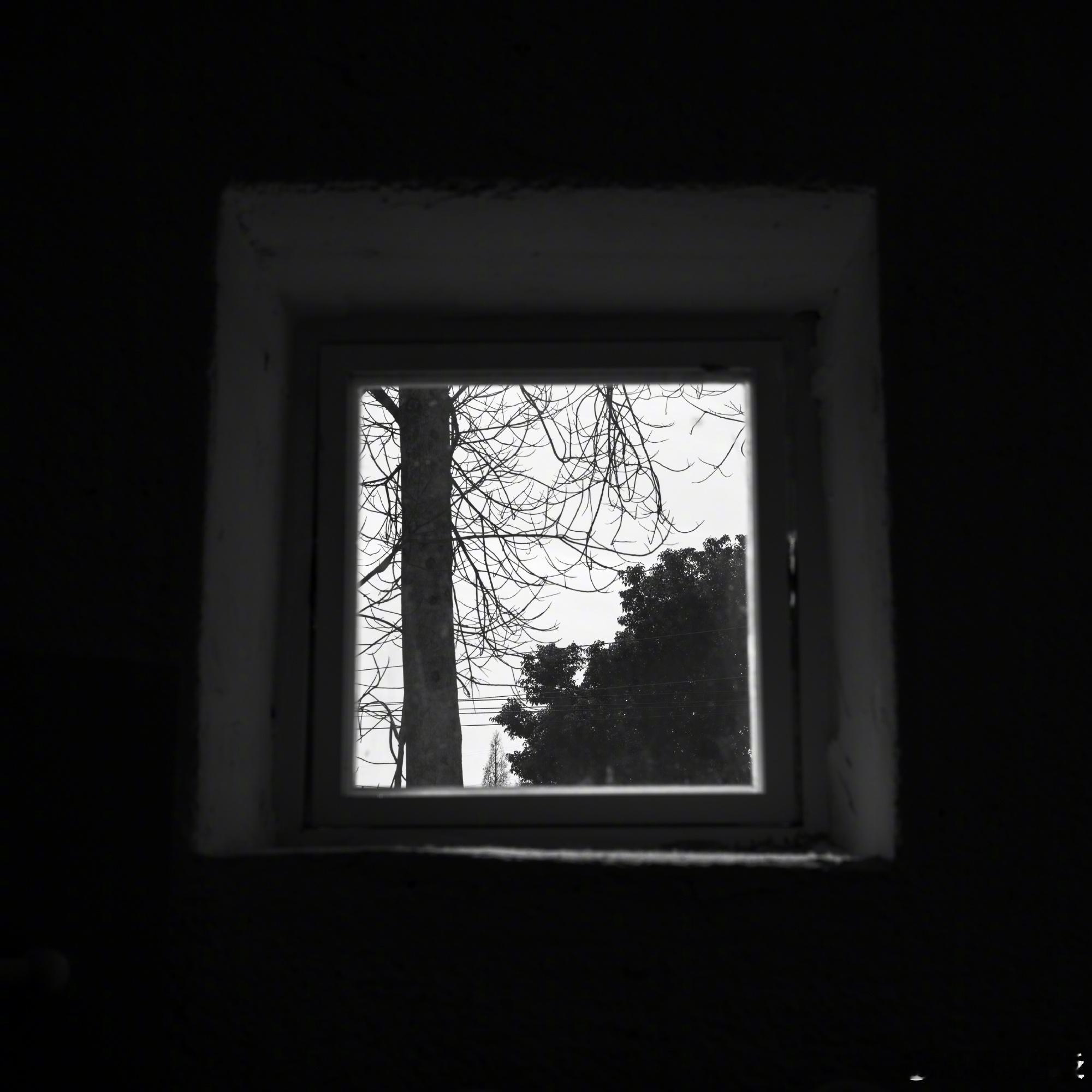 张凌赫摄影作品 发博展示自己的摄影作品哎！好厉害太会拍啦都拍的好有意境！这个凌赫