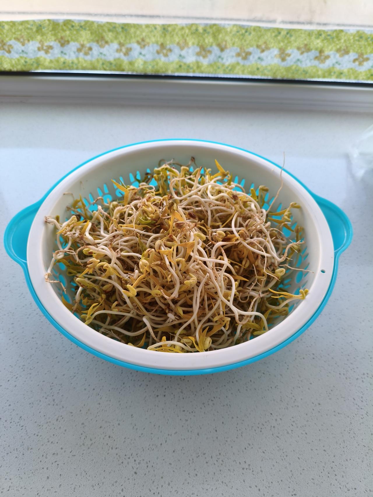 豆芽生到底五天，应该算成功了吧，就是有点细[大笑]