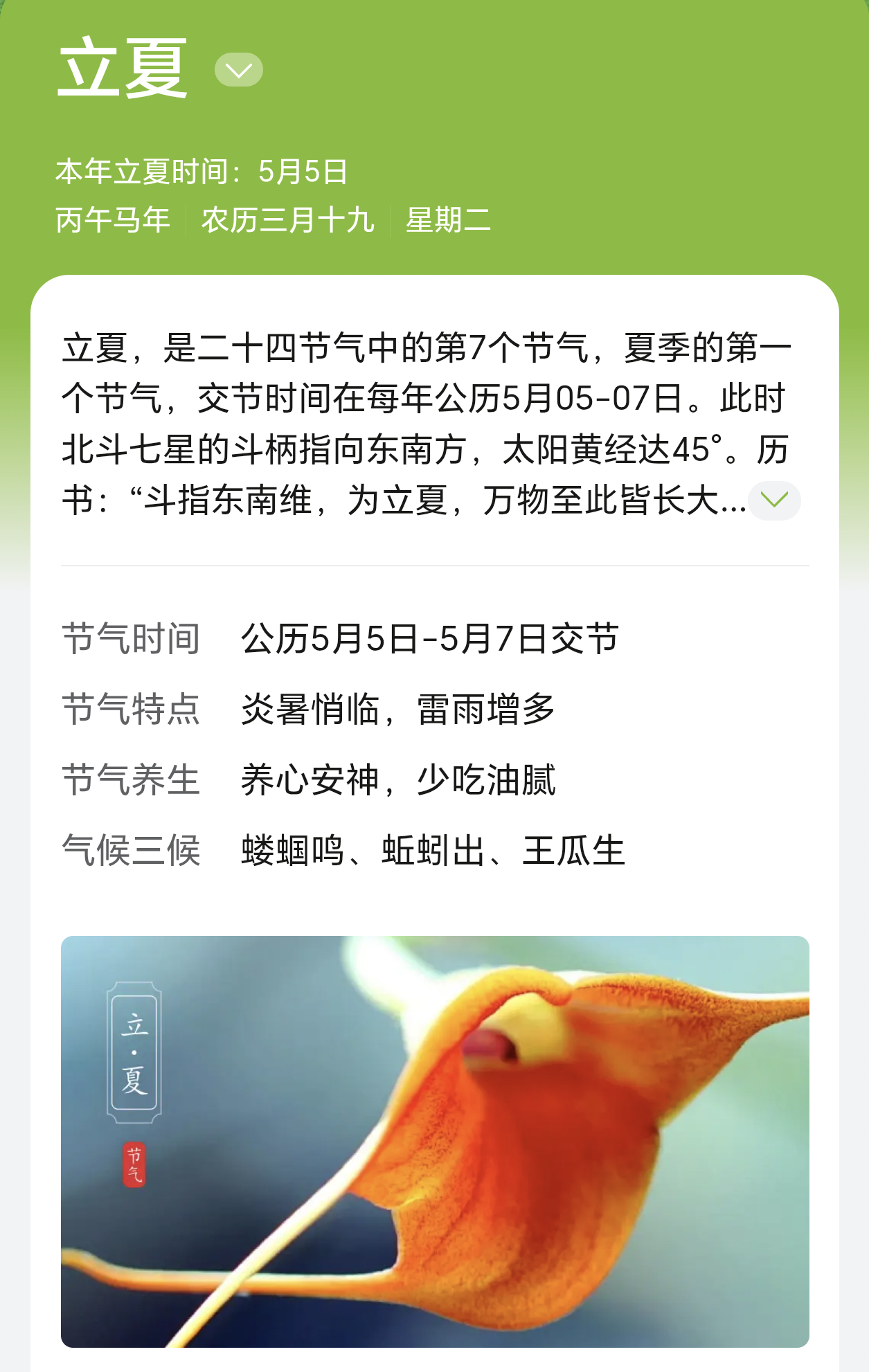 端午节连休3天不调休今天是二十四节气的立夏，从今天开始真正意义上的夏天就来啦。看