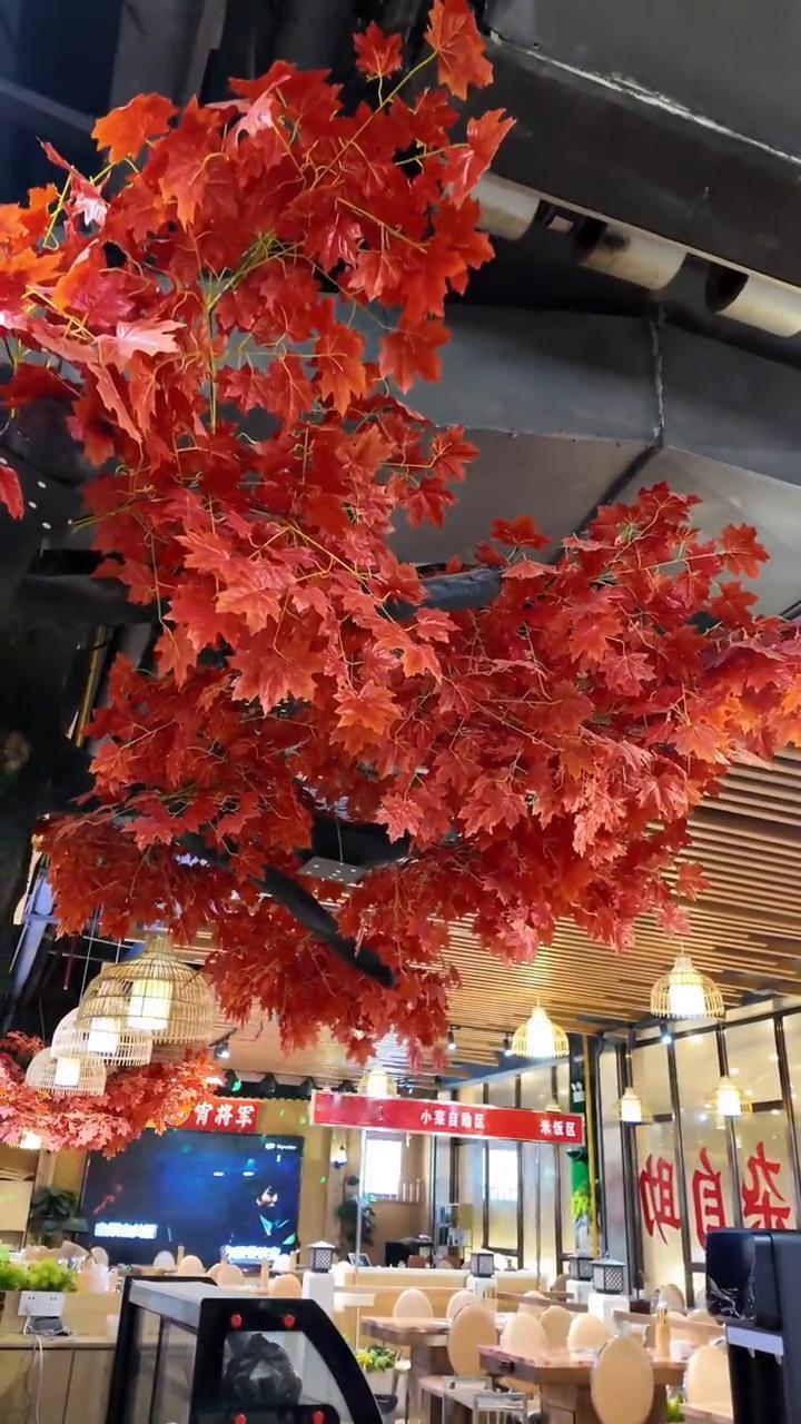 今天花20元钱享受了一把自助餐包场待遇。新开的牛排牛杂自助餐厅，面积很大。点评上