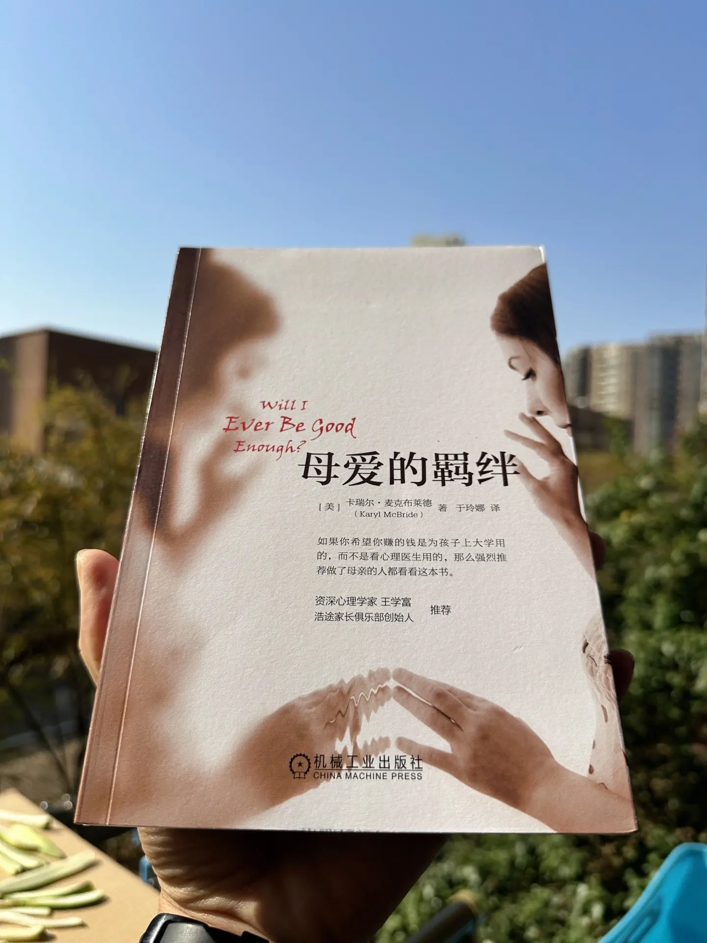 母爱的羁绊