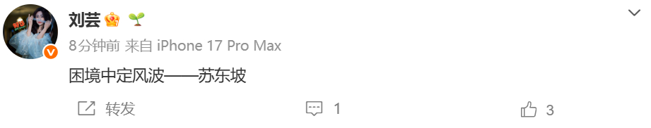 刘芸 困境中定风波刘芸怎么了 这是怎么了？ 