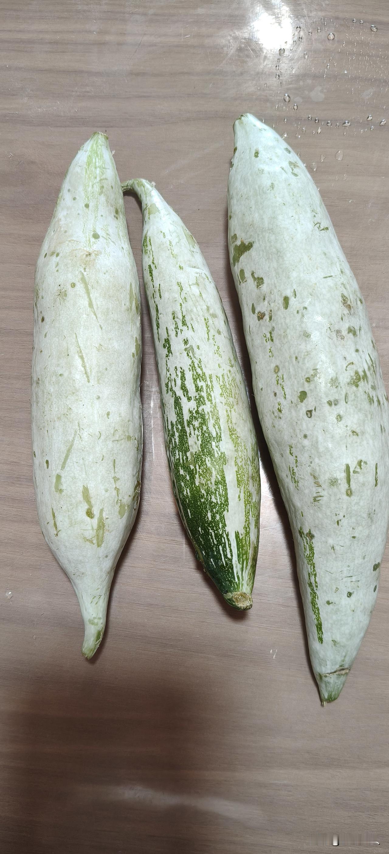 朋友送的苦瓜。长成这样子的苦瓜，还真是头回见。