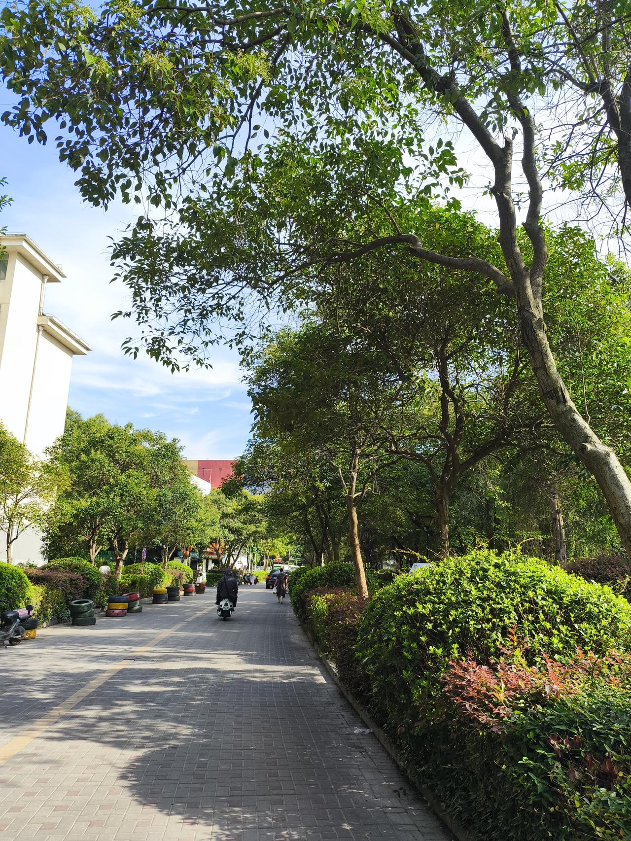 如今高考是“分层筛选”，本专科整体录取率超80%，上大学不难，竞争变成了上好名校