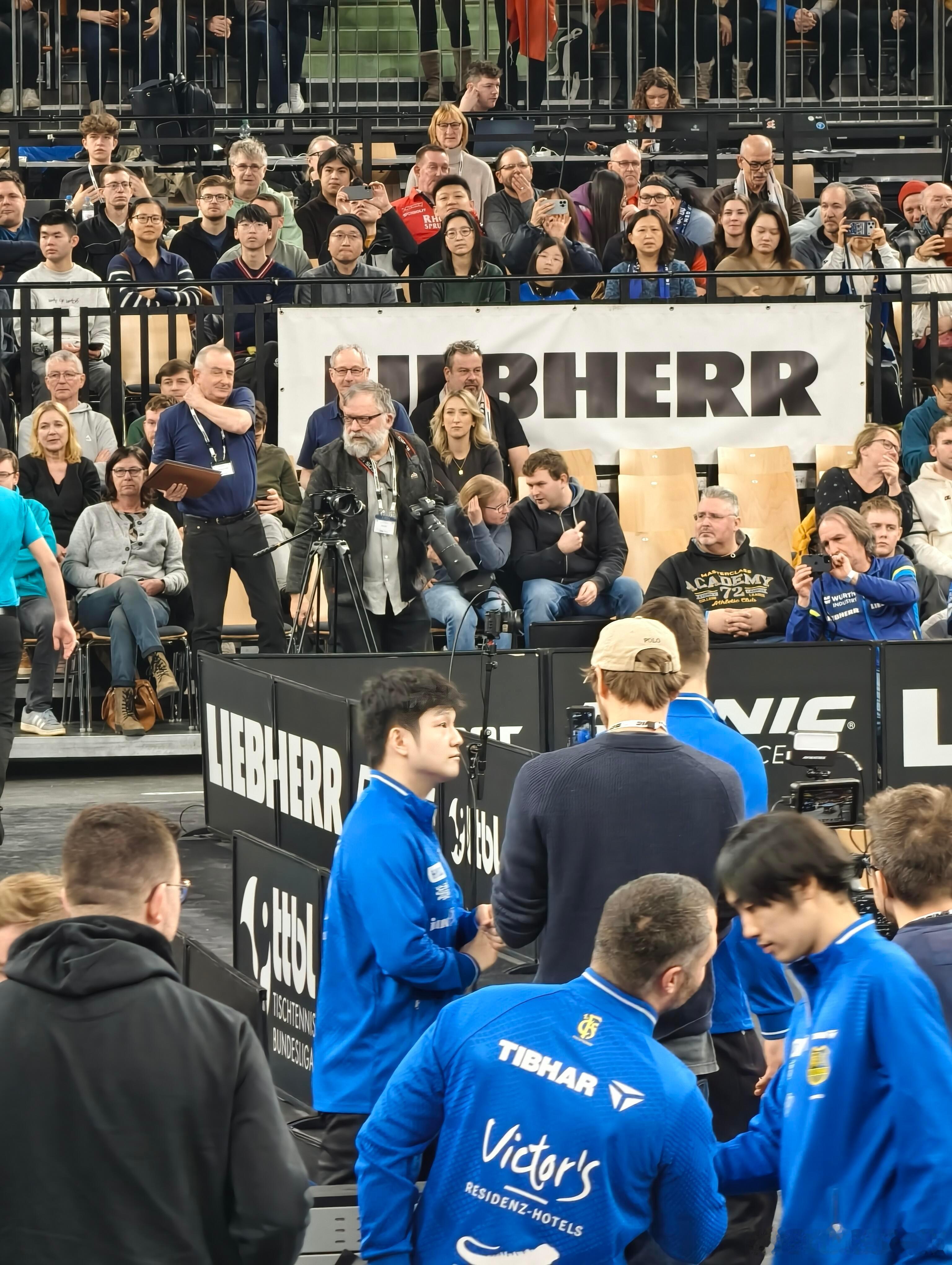 🐼小东盯盯时的样子从未变过，咱就说谁能逃过樊振东的盯盯。 