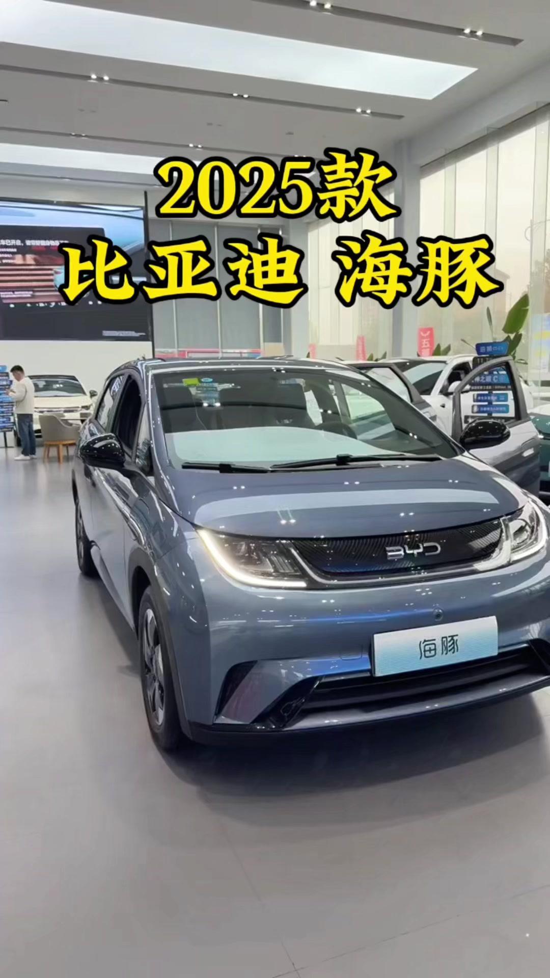 买海豚选这款就对了！🐬2025款比亚迪海豚自驾版420千米自由版，关注度和配置