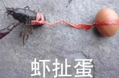 我是你大舅[我想静静]，我中教高级，工龄教龄38.5年，1986年7月师院毕业参