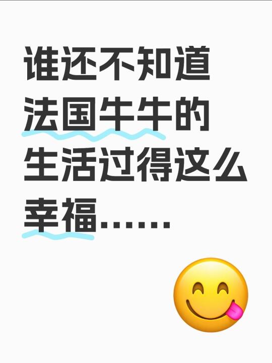 谁还不知道法国牛牛的生活过得这么幸福……
