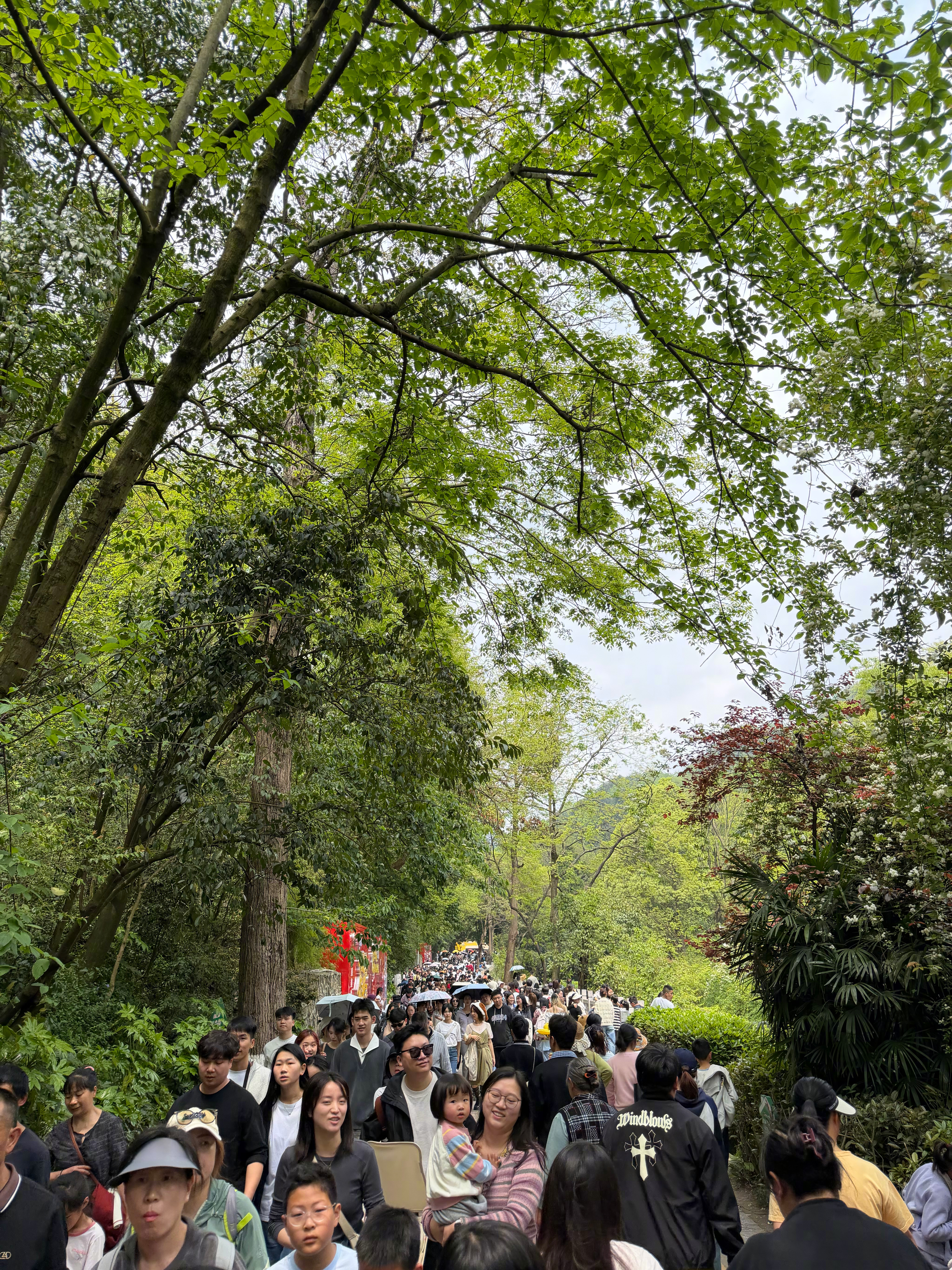 第一次来看🐒，人是真多呐！网红猴的观众太多，隔老远才拍到一张！还参观了麒麟洞。