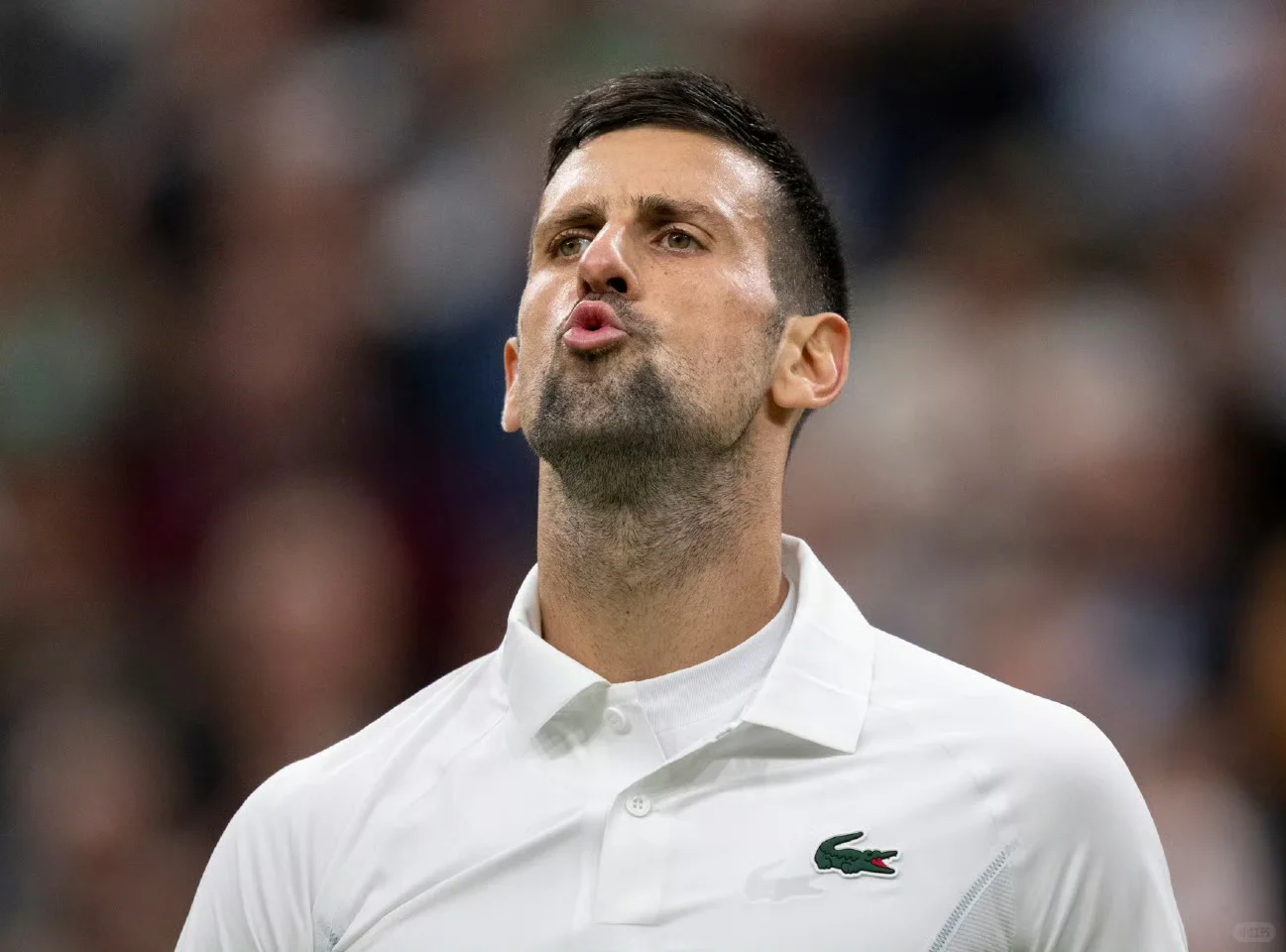 【温网速递】德约科维奇晋级8强