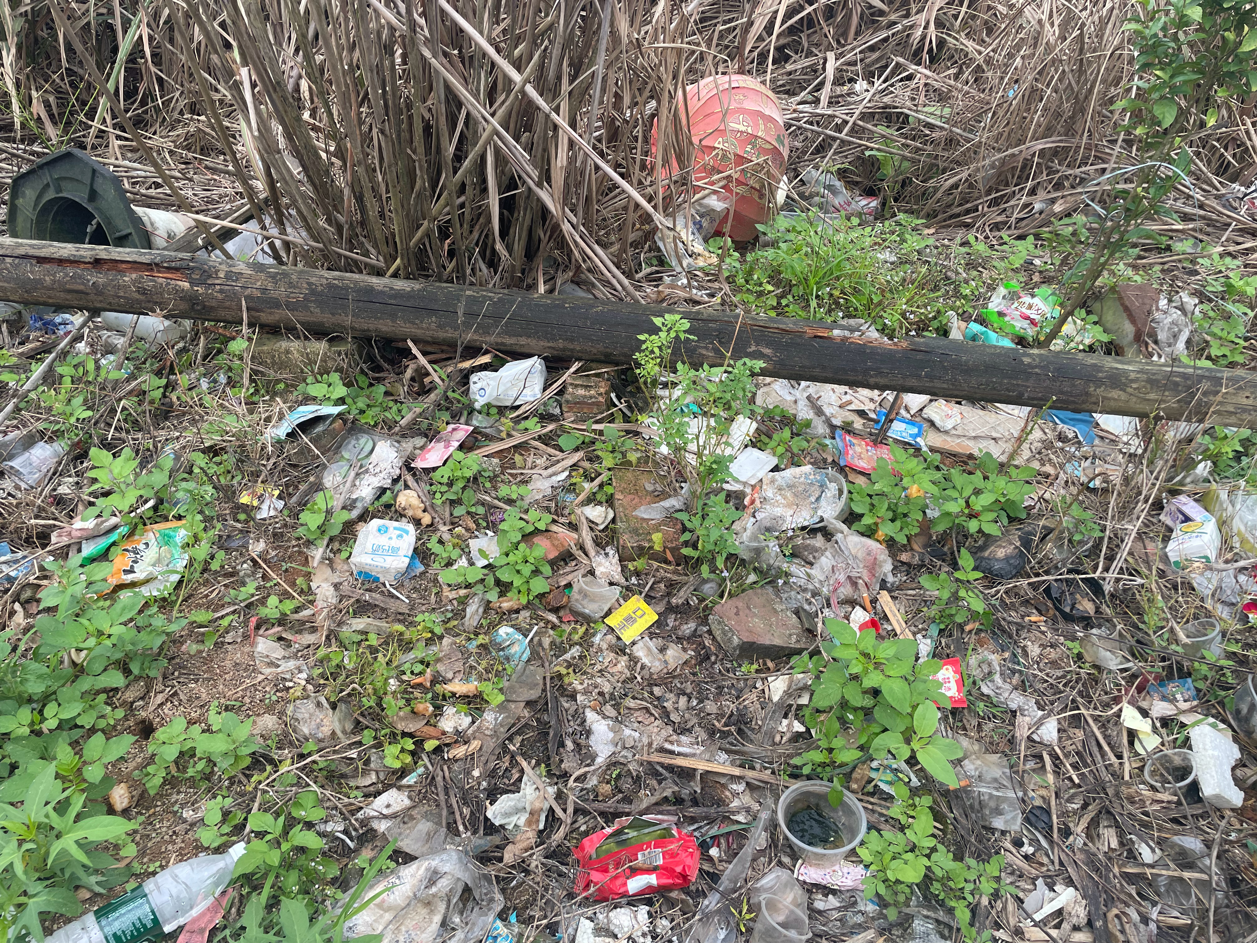 【玉林某山上庙旁一地的垃圾无人清理】5月17日，玉林市某山上看见某庙旁边一地垃圾