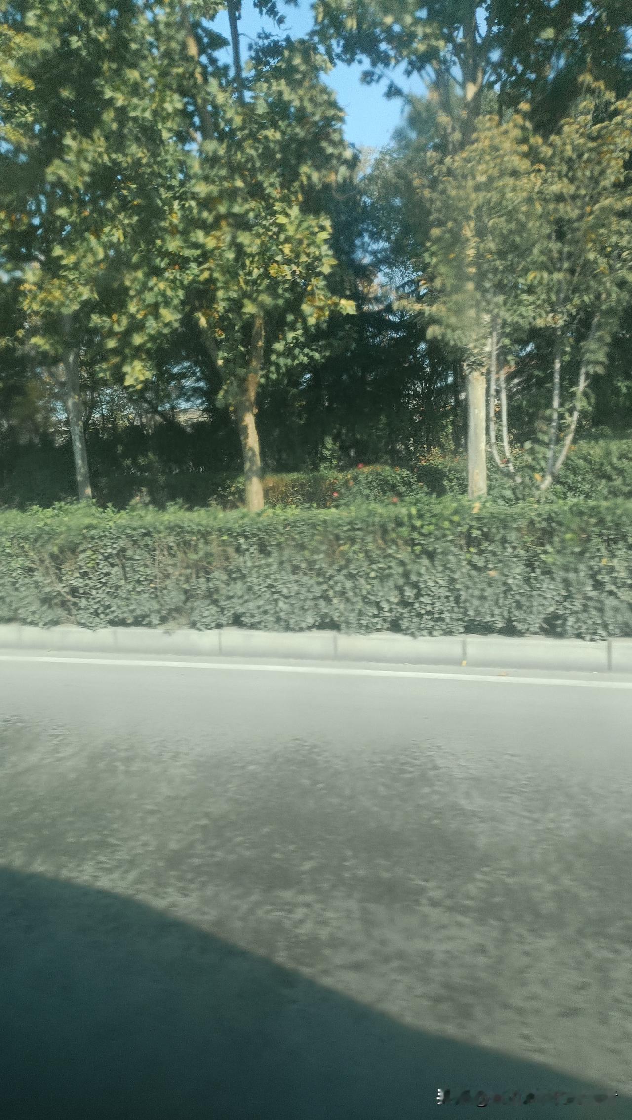 最近很多人都在迷茫自己的未来！
迷茫真不是啥大不了的事儿，谁还没在人生路上迷过几