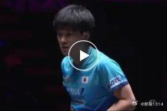 《WTT澳门冠军赛男女单打1/8决赛：张本兄妹皆横扫晋级 雨果3-1普卡》 【集