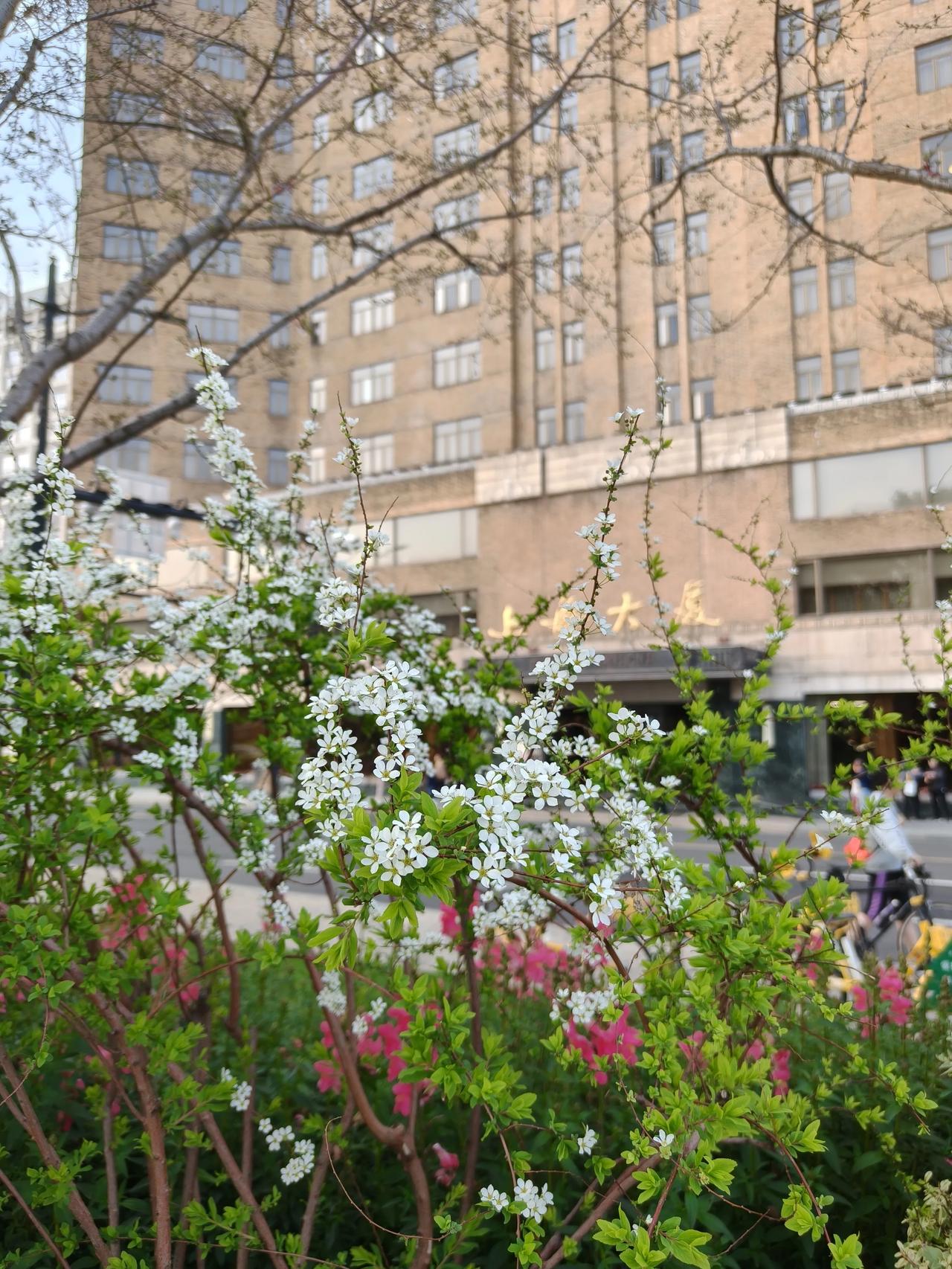 ☀️
美好的一天开始啦！

美丽的三月，再见！