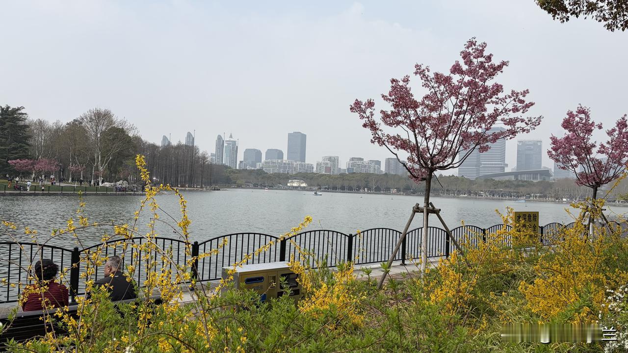 去年在包头参加侄子的婚礼，见到了许多多年未见面的亲戚，大家各自的境遇和状态，让人