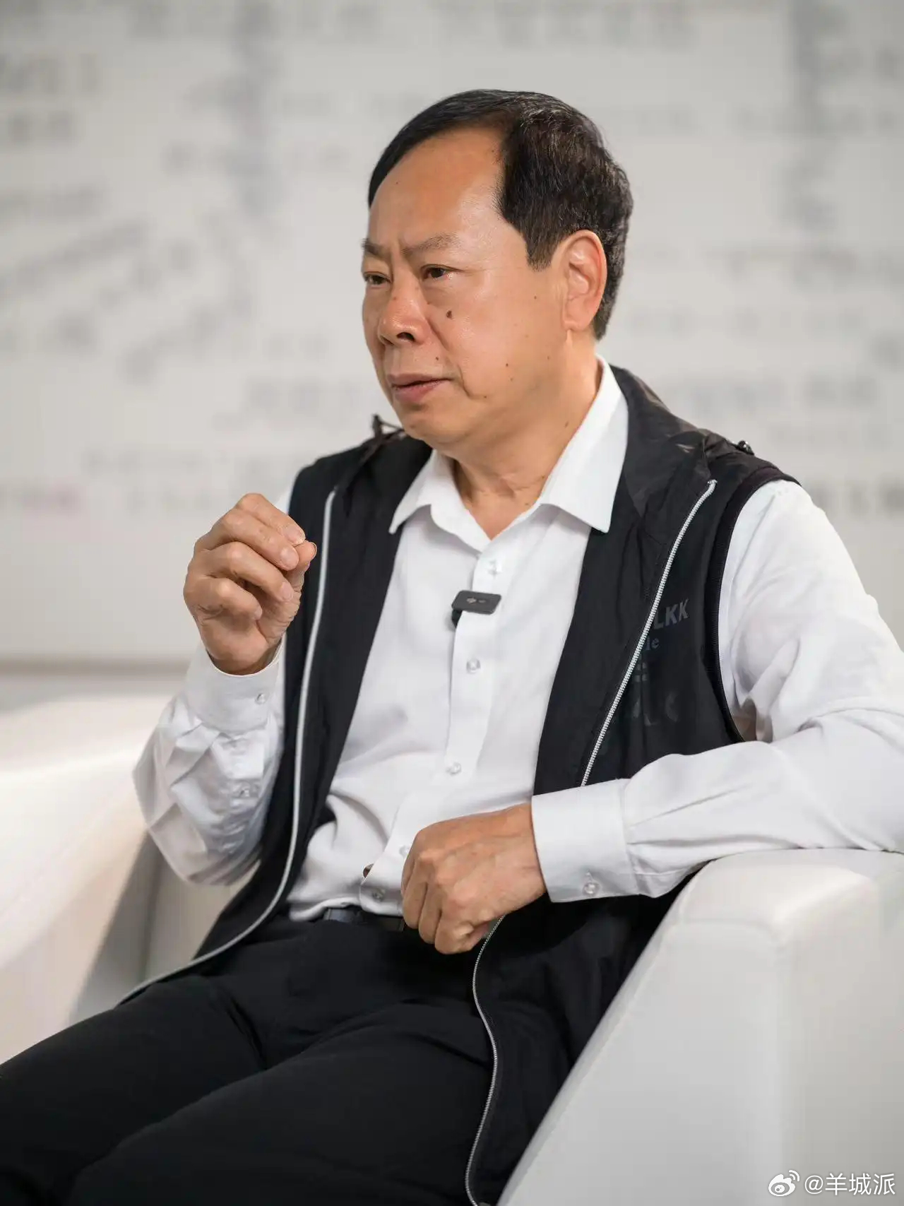 【独家专访 | 李劲堃：立足湾区去构建中国画的国家形象】当前，把改革开放以来积累