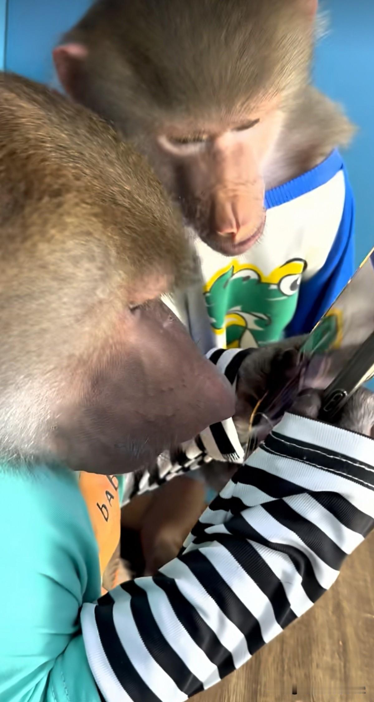 手机对面给你瞎评论的有可能还不如它俩……它们顶多是乱码，但网上很多是乱骂……