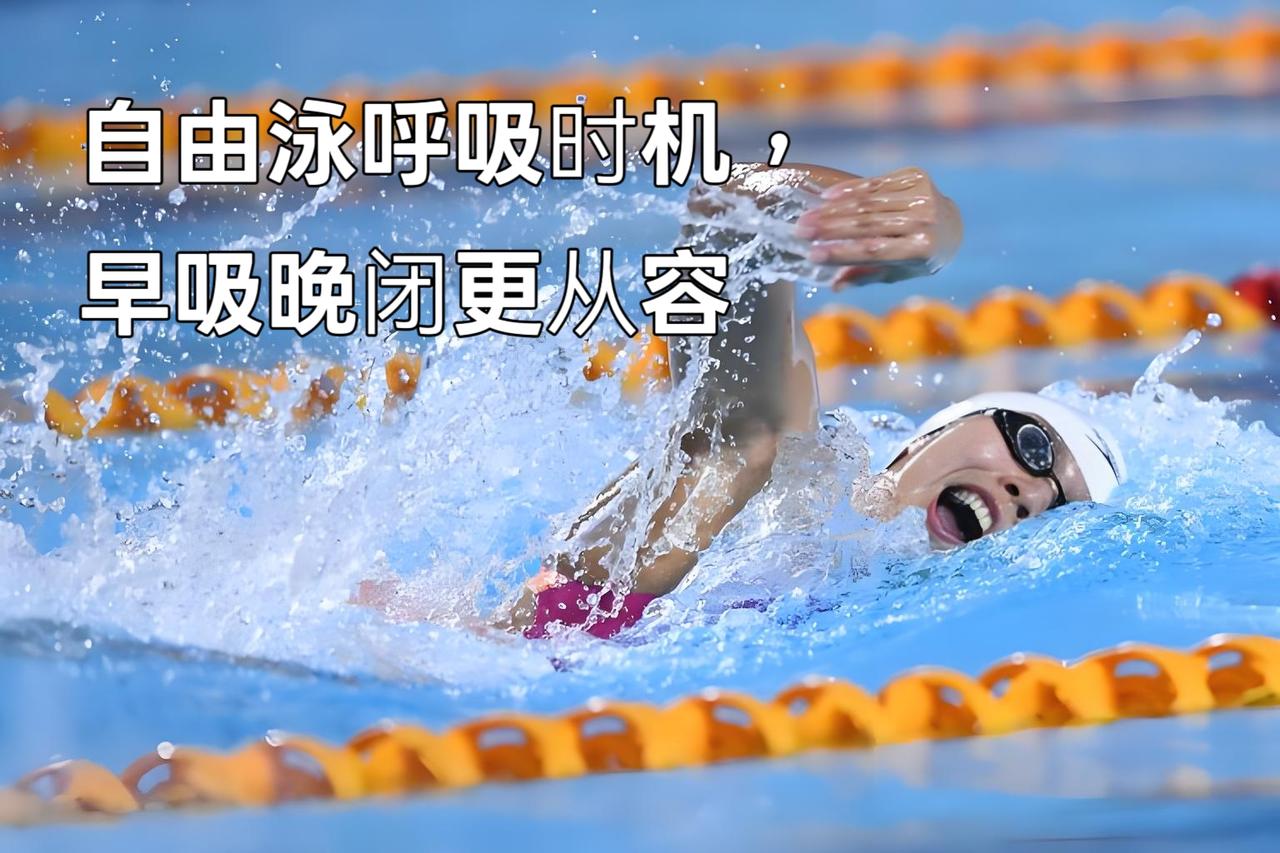 泳教头 | 泳讲堂：自由泳呼吸时机，早吸晚闭更从容
 
很多泳友游自由泳时，总觉