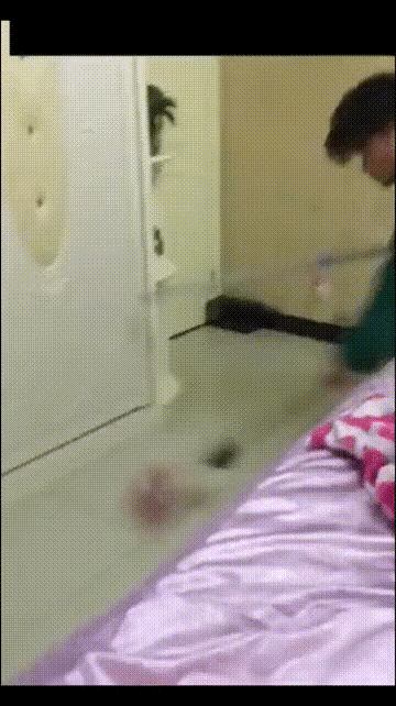 你搁这里打球了是不是？还不赶紧弄出去啊，人和鼠都吓的瑟瑟发抖。