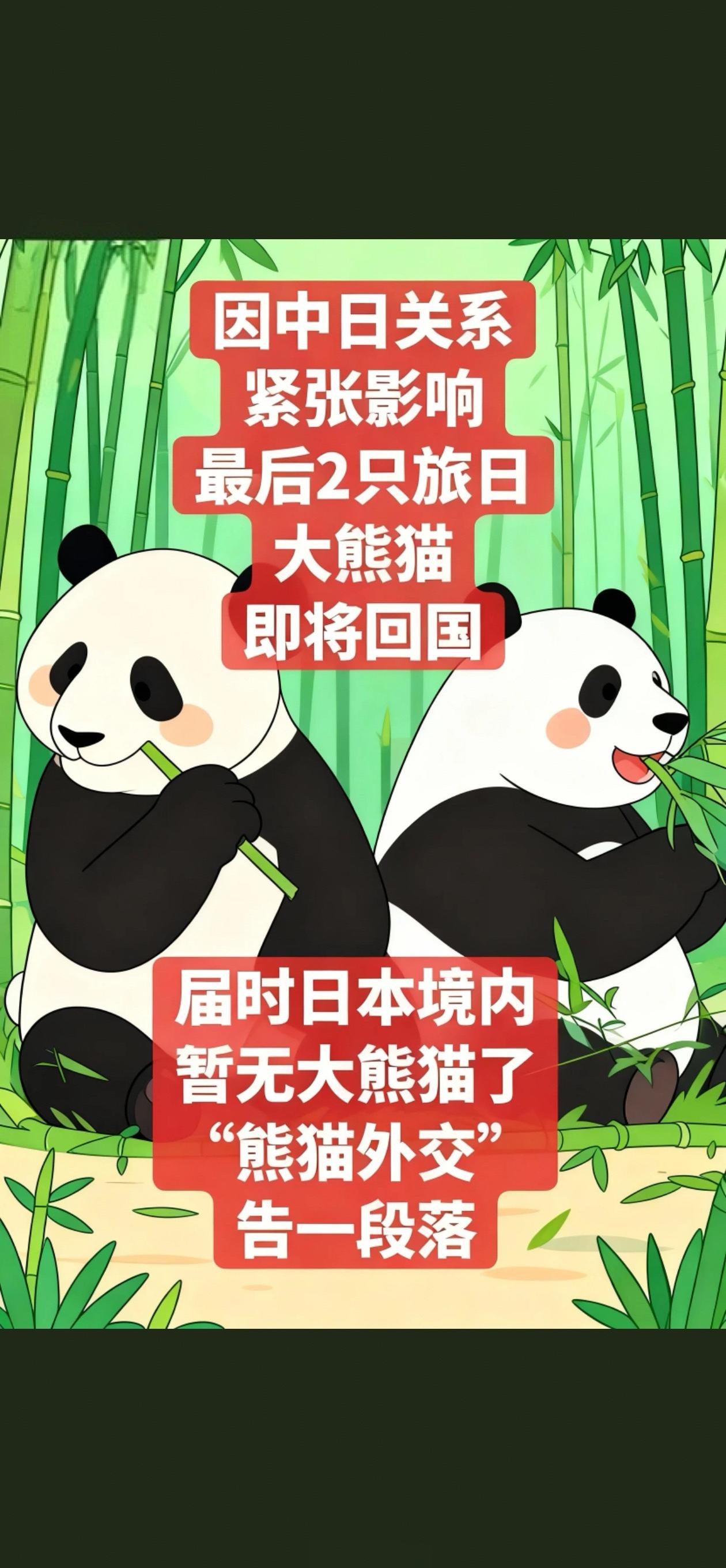 最后2只旅日大熊猫即将回到中国