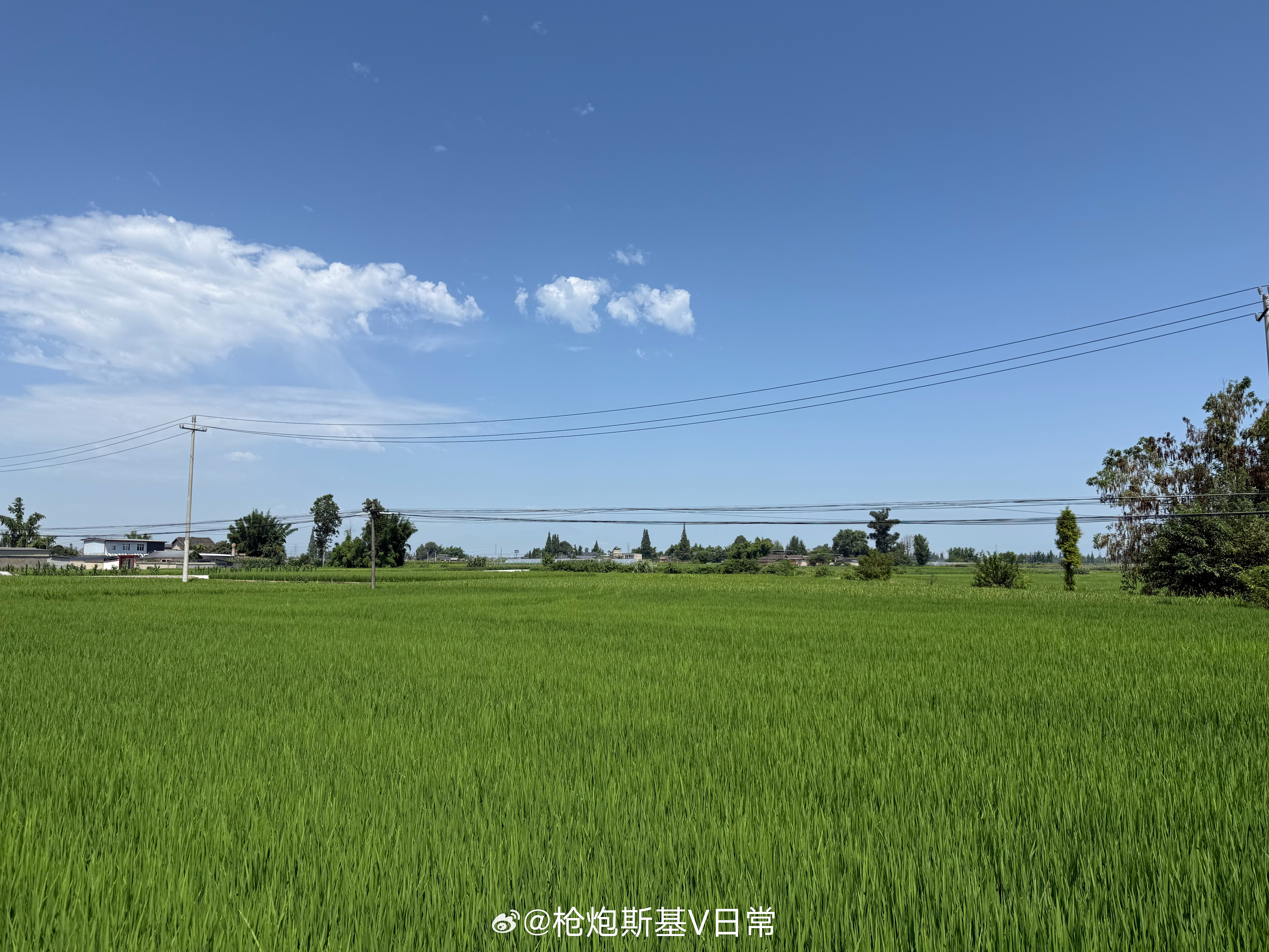 高温下的郊区，其实还是很美的。 