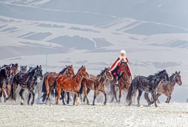 贺娇龙穿着一身亮眼的红衣，骑着马在草原上策马奔腾的样子，你是不是也刷到过？作为咱