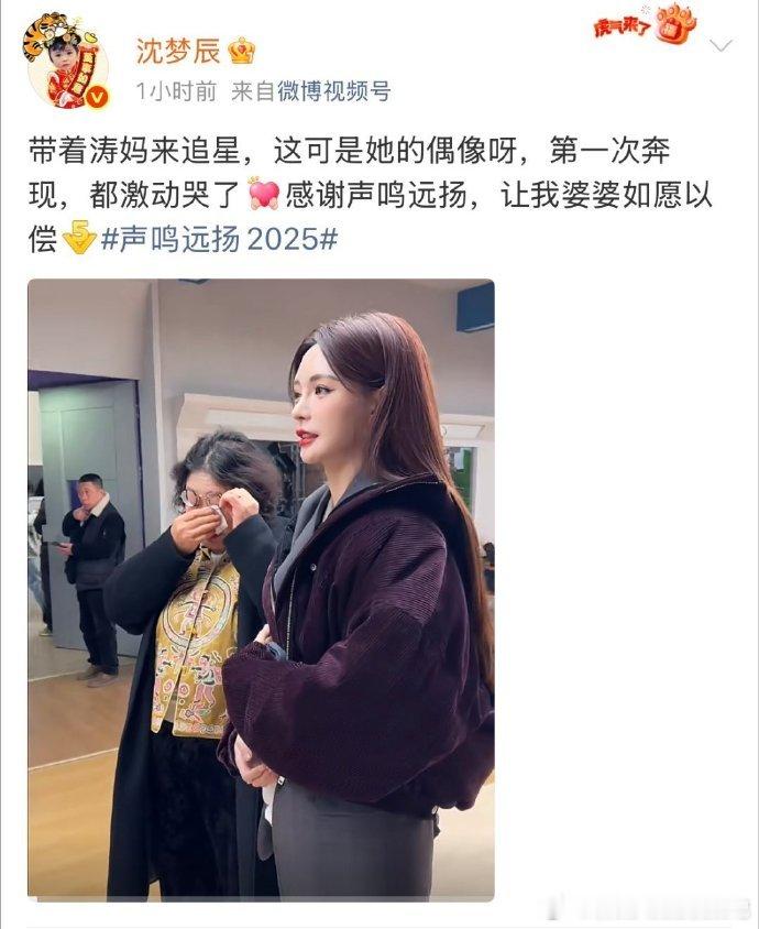 那英说沈梦辰嫁给东北人眼光太好了东北人对东北人的偏爱！那英看到海涛妈妈直接认证，