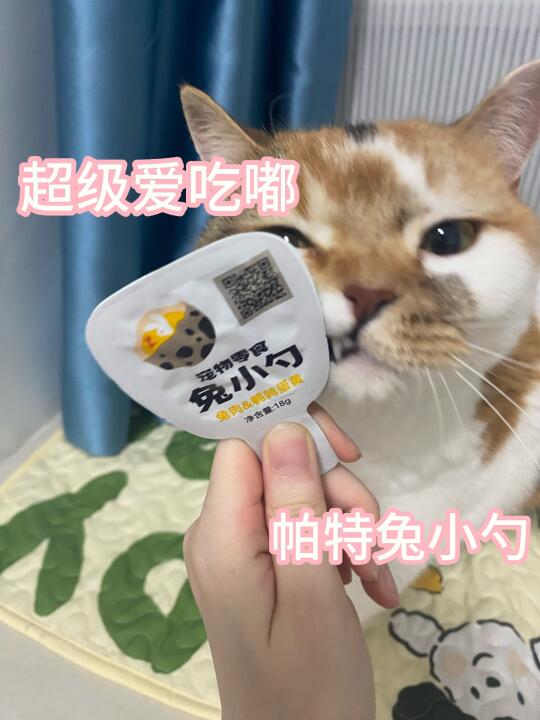 养猫多年 猫咪爱吃猫条无限回购推荐