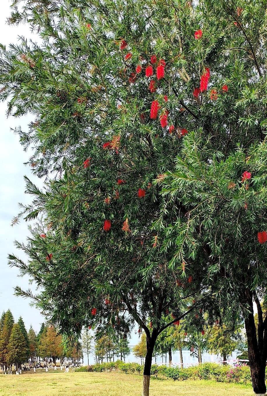 看着那个年入千万的石场老板被骂成“守财奴”，我反倒觉得这世道有些荒唐。
儿子买房