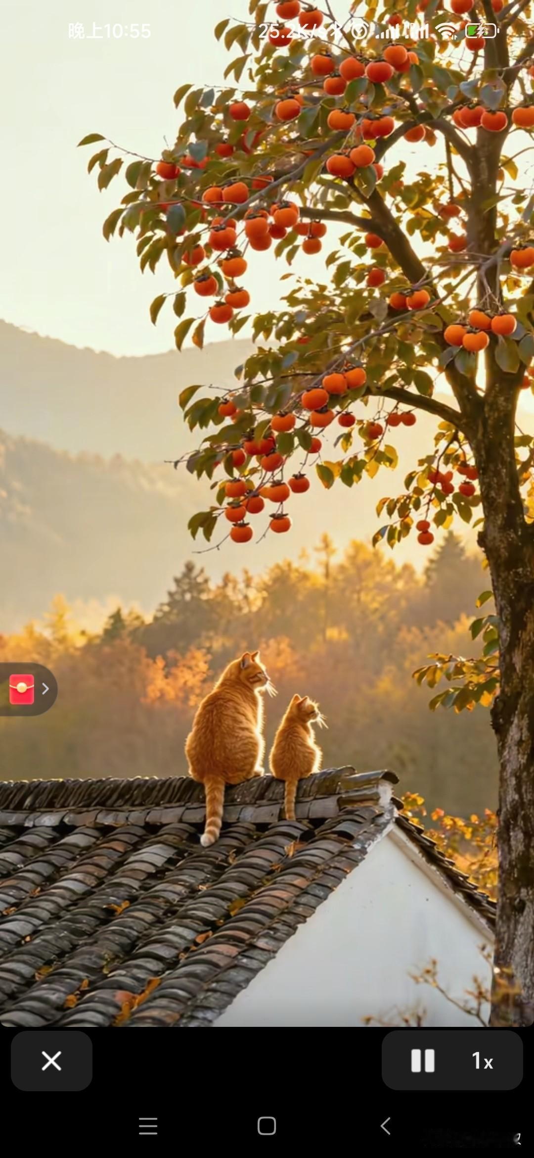 村无烟火只剩房，
柿子黄了无人尝；
儿时玩伴今何在？
_____________